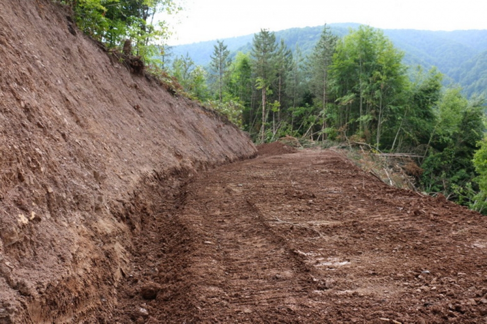 Çetibeli Orman İşletme Şefliği Yol büyük onarım işi yaptırılacak