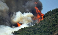Orman yangınları fiyatları vurdu! Üreticilerden  korkutan uyarı: 'Bal artık lükse girer'