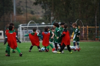 Bodrumspor Futbol Okulu  çalışmalarına devam ediyor