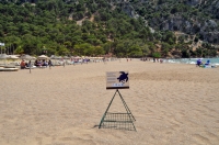  İztuzu Plajı'ndaki caretta caretta yuva sayısı 300'e ulaştı