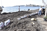 Bodrum'da kuvvetli rüzgarın ardından sahilde temizlik çalışması yapıldı