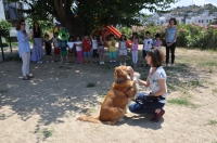 Bu çocuklar köpeklerin dilinden anlıyor!