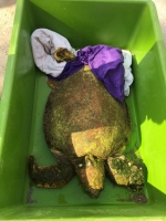 Yaralı caretta caretta tedaviye alındı