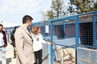 Sokak Hayvanları İçin Refah Sözü